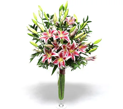 Roze Ljiljani