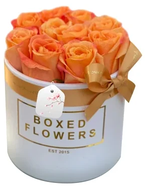 Orange Box