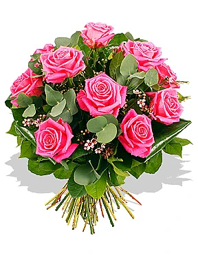 Roze ruže