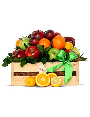 Puna korpa voća